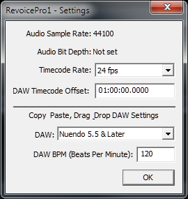 Revoice Pro Project Settings